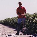 Field Scout